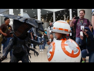 cosplay of the year (bb-8)