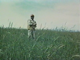short film ussr, georgia film, 1977  butterfly